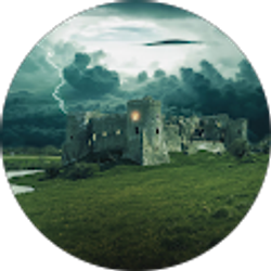 Profile photo of tim patrick