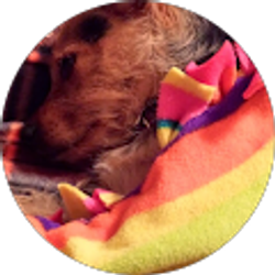 Profile photo of Valerie bosse