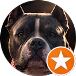 Profile photo of Josh Rotthoff