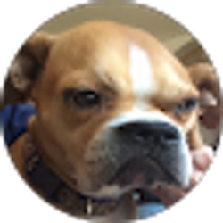 Profile photo of River Chase