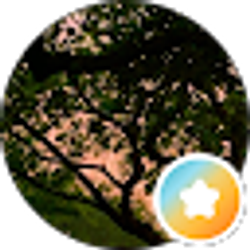 Profile photo of kimberly johnson
