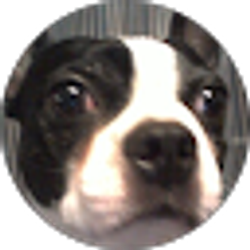 Profile photo of teresa moore