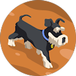 Profile photo of Anh Dinh