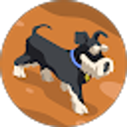 Profile photo of Anh Dinh