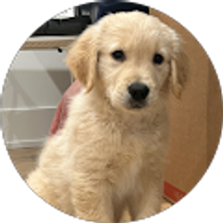 Profile photo of Vishal Mehta