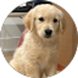 Profile photo of Vishal Mehta