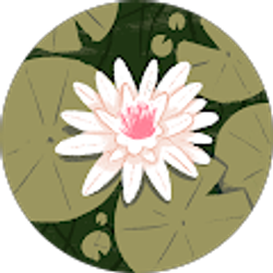 Profile photo of Amy Nardi