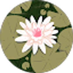 Profile photo of Amy Nardi