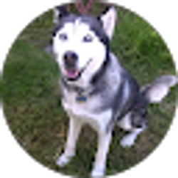 Profile photo of Dave Ortiz