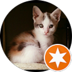 Profile photo of Pam Andrix