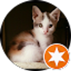 Profile photo of Pam Andrix