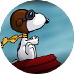 Profile photo of Matt Wong