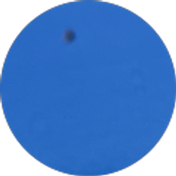 Profile photo of Seth Esparza