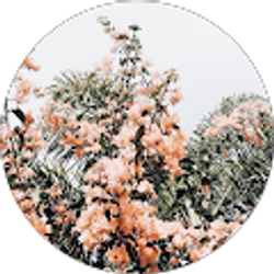 Profile photo of Mahnoor Choudhary