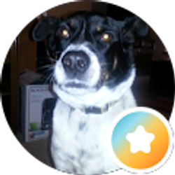 Profile photo of Christie King