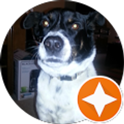 Profile photo of Christie King