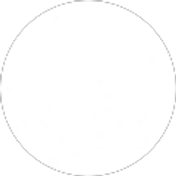 Profile photo of Anthony