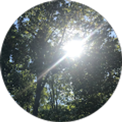 Profile photo of diego cux