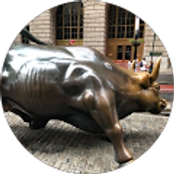 Profile photo of y可飞