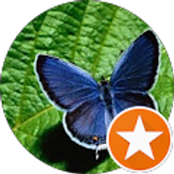 Profile photo of Janette Ramirez