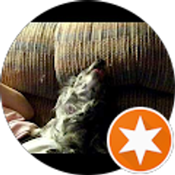 Profile photo of Alexis Gwaltney