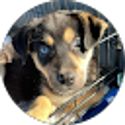 Profile photo of Maya Mercer