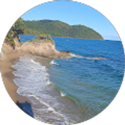 Profile photo of Aileen Amaro