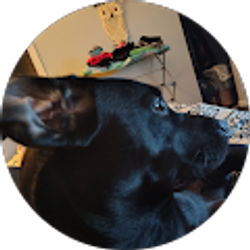 Profile photo of Ashley Hale