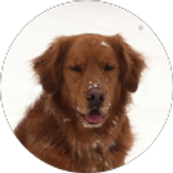 Profile photo of Kathi Chambliss