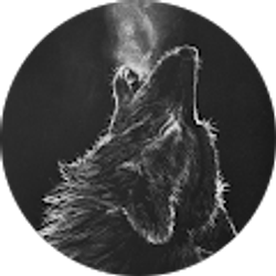 Profile photo of Dylan Dyer