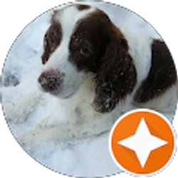 Profile photo of Robert Rushing