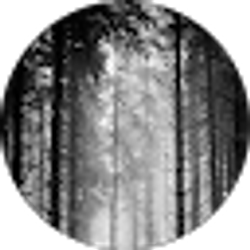 Profile photo of Brittany Bennett