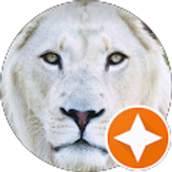 Profile photo of Luigi Alessandro