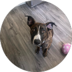 Profile photo of lexi mccarthy