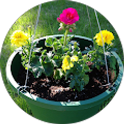 Profile photo of Kathryn Gregg