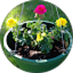 Profile photo of Kathryn Gregg