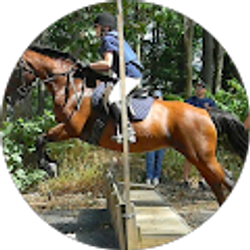 Profile photo of lauren budner