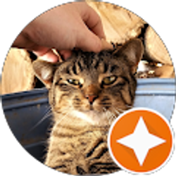 Profile photo of Lee