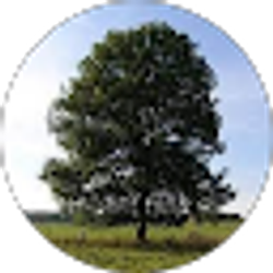Profile photo of Jamal Amos