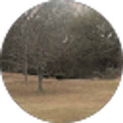Profile photo of A Stokes