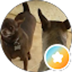 Profile photo of Lisa B