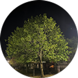 Profile photo of Eli