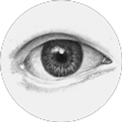 Profile photo of mick719