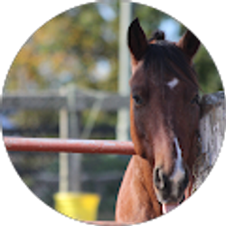 Profile photo of Erica Worek