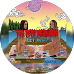 Profile photo of ALCALDE