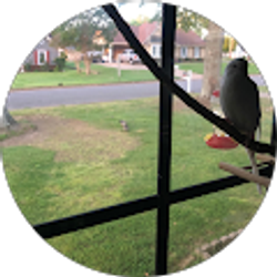 Profile photo of D Email