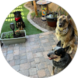 Profile photo of 247slb