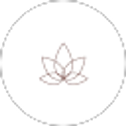 Profile photo of Mason Adkins