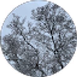 Profile photo of Elvia M (aremar)