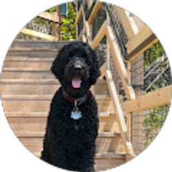 Profile photo of Greg Petroelje